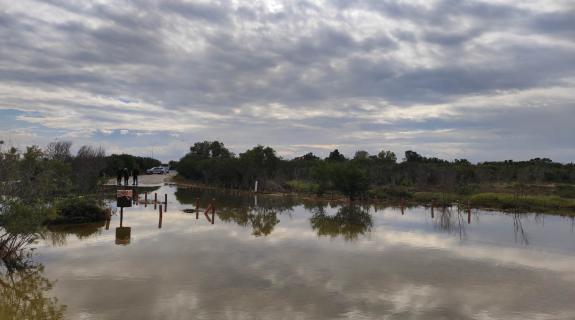 Καταγγέλλουν παρεμβάσεις στην περιοχή Νατούρα του Υγροβιότοπου Αλυκής Λάρνακας