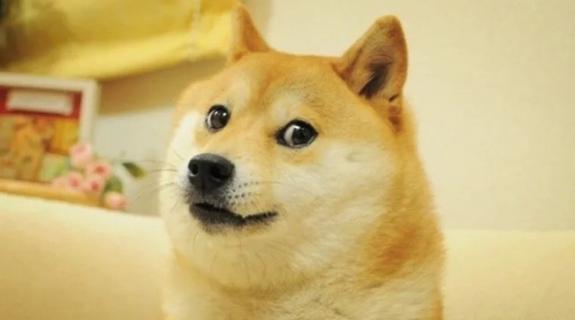 Πέθανε ο Viral σκύλος που ενέπνευσε το Dogecoin και αποθέωσε ο Έλον Μασκ