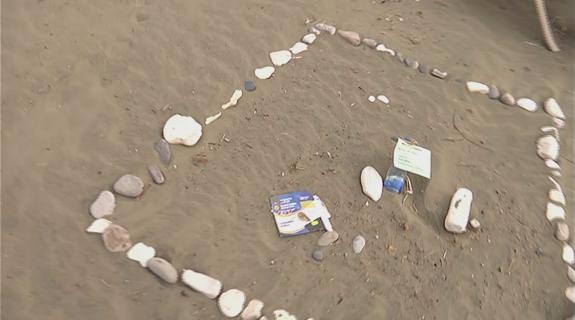 Ασυνείδητοι ρίχνουν σκουπίδια σε παραλία με φωλιές χελώνων καρέτα-καρέτα