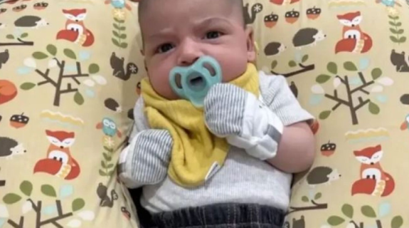 ΗΠΑ: Μωρό έξι εβδομάδων κατακρεουργήθηκε από οικογενειακό χάσκι ενώ κοιμόταν