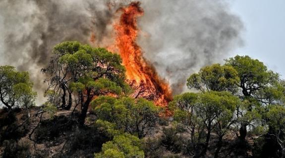 Ολονύχτια μάχη με τις φλόγες στο όρος Πάικο στην περιοχή Κρανιά