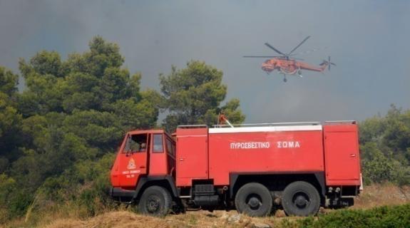 Πολύ υψηλός κίνδυνος πυρκαγιάς σε Αρκαδία, Λακωνία, Μεσσηνία, Αχαΐα, Ηλεία