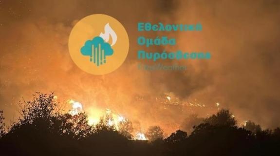 ΒΙΝΤΕΟ: «Δύσκολη η πρόσβαση» στο σημείο της πυρκαγιάς στο Πισσούρι