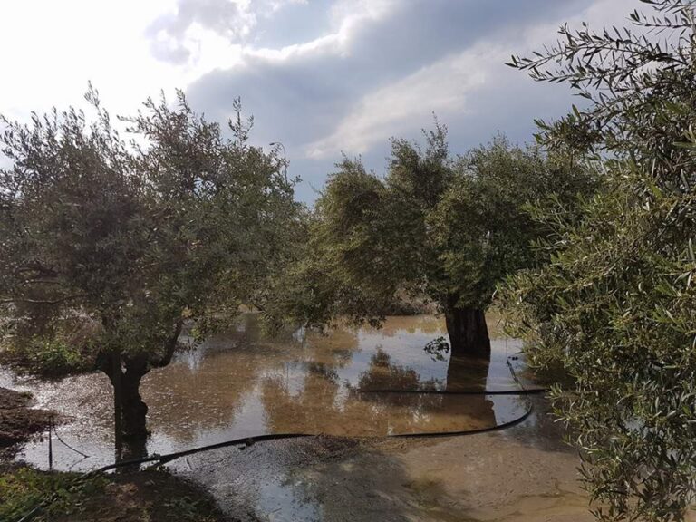 Έντονες βροχές και χαλάζι στη Λευκωσία (ΒΙΝΤΕΟ)