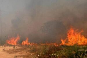 Υπό έλεγχο η πυρκαγιά στην περιοχή Καλού Χωριού – Κλήρου