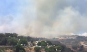 Στάχτη δώδεκα εκτάρια δέντρων και άγριας βλάστησης στην επαρχία Πάφου