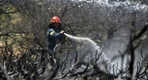 Σε ύφεση οι φωτιές σε Μονεμβασιά και Γρύλλο Κρεστένων