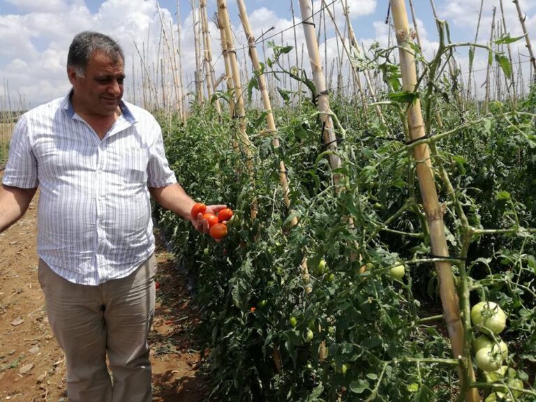 Mέχρι το φθινόπωρο το νέο πλαίσιο λειτουργίας του Οργανισμού Γεωργικής Ασφάλισης