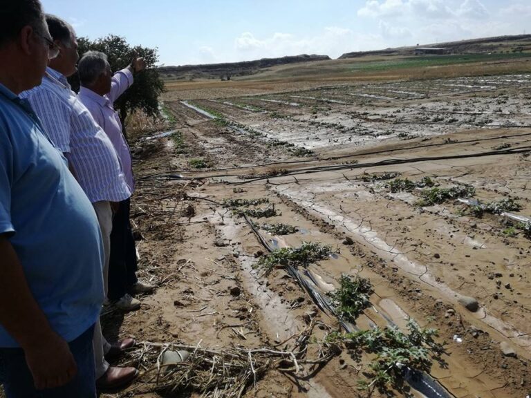 Πότε θα δοθούν οι αποζημιώσεις μετά την καταστροφική χαλαζόπτωση