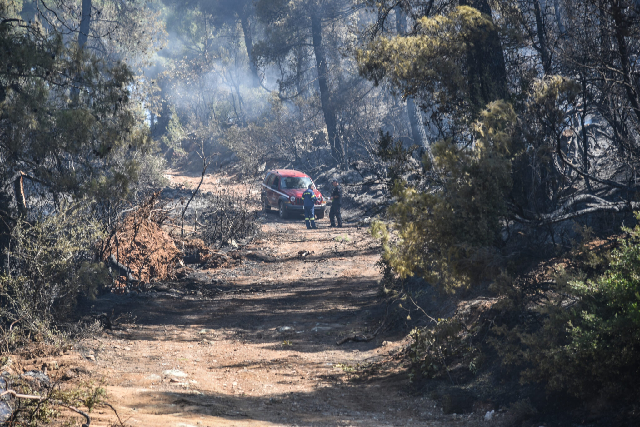 Αισιοδοξία για την κατάσβεση της πυρκαγιάς στην Εύβοια