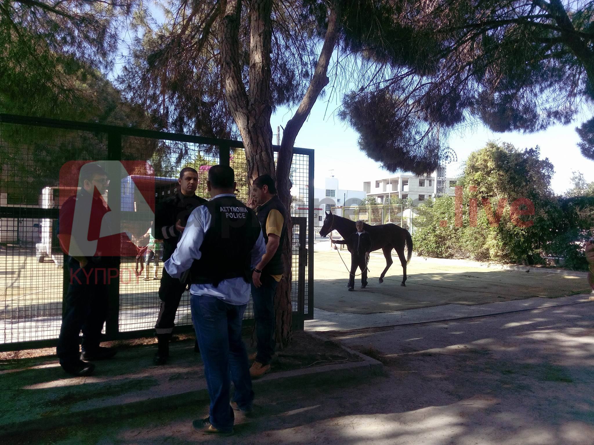 Γιγαντιαία επιχείρηση της Αστυνομίας στον Ιππόδρομο Αγίου Δομετίου