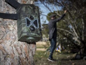 Ξυλοφάγου: Συλλήψεις για υποθέσεις παράνομης παγίδευσης πουλιών