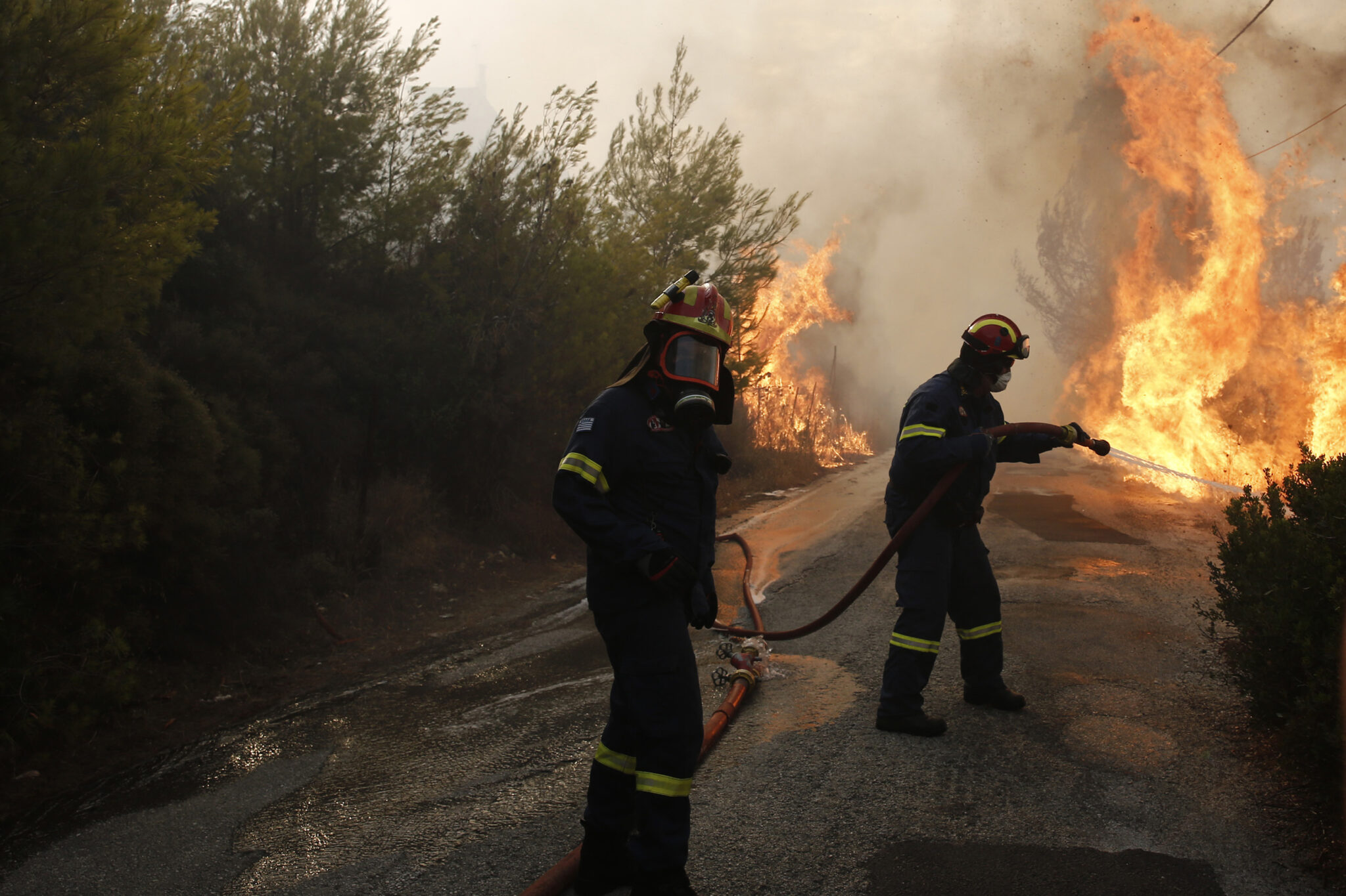 Ανεξέλεγκτη μαίνεται η φωτιά στη Σιθωνία Χαλκιδικής