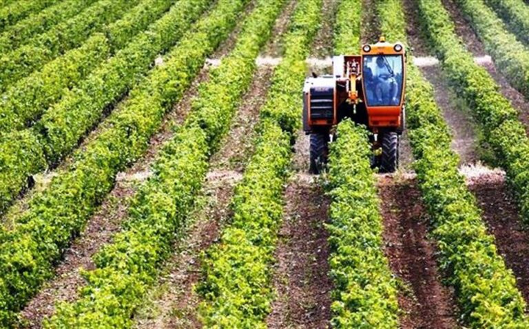 Στα σκαριά η δημιουργία ταμείου προστασίας και ασφάλισης των γεωργών