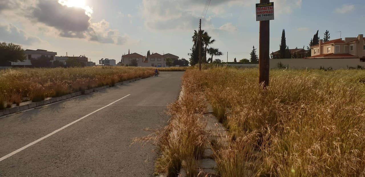 Φοβούνται τα φίδια και το ενδεχόμενο πυρκαγιάς οι κάτοικοι στην περιοχή του ΓΣΠ