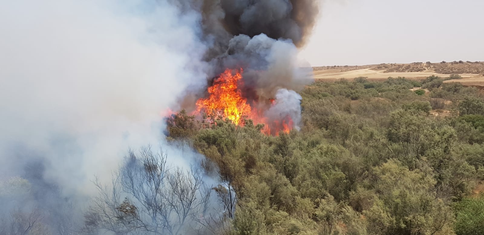 Αγγίζει τους 50 βαθμούς η θερμοκρασία στην περιοχή που ήταν τα Σόμοδα