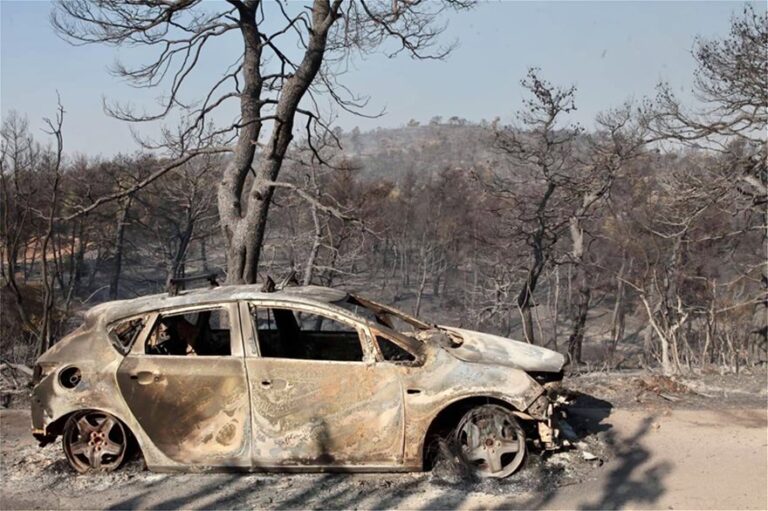 Κρανίου τόπος το δάσος Natura της Εύβοιας (ΦΩΤΟ)