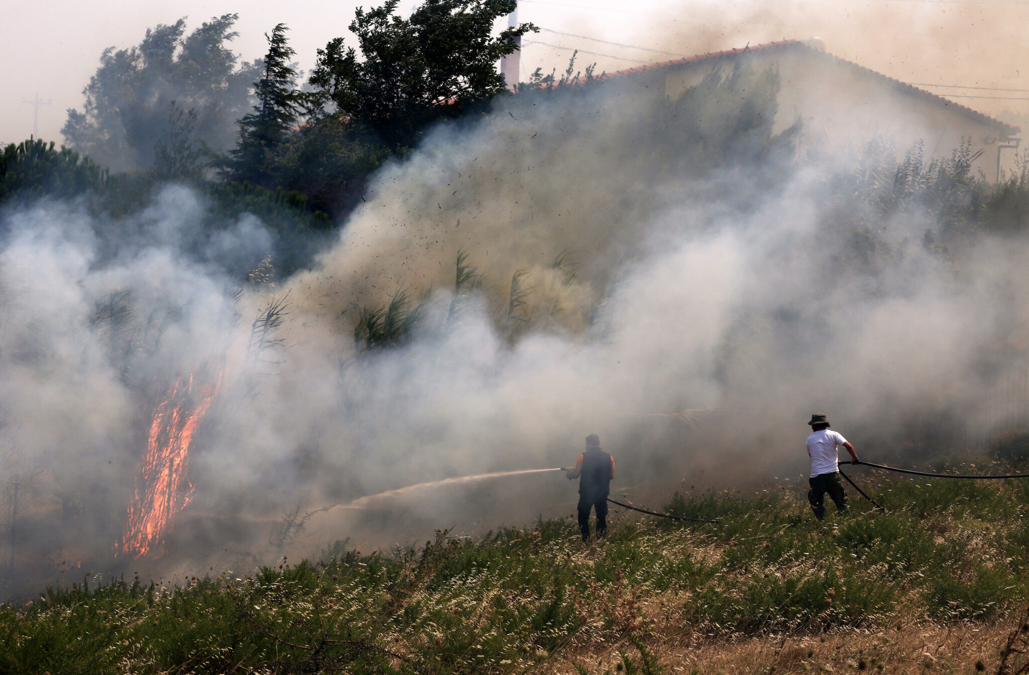 Μάχη με τις φλόγες δίνουν πυροσβέστες στην Ηλεία