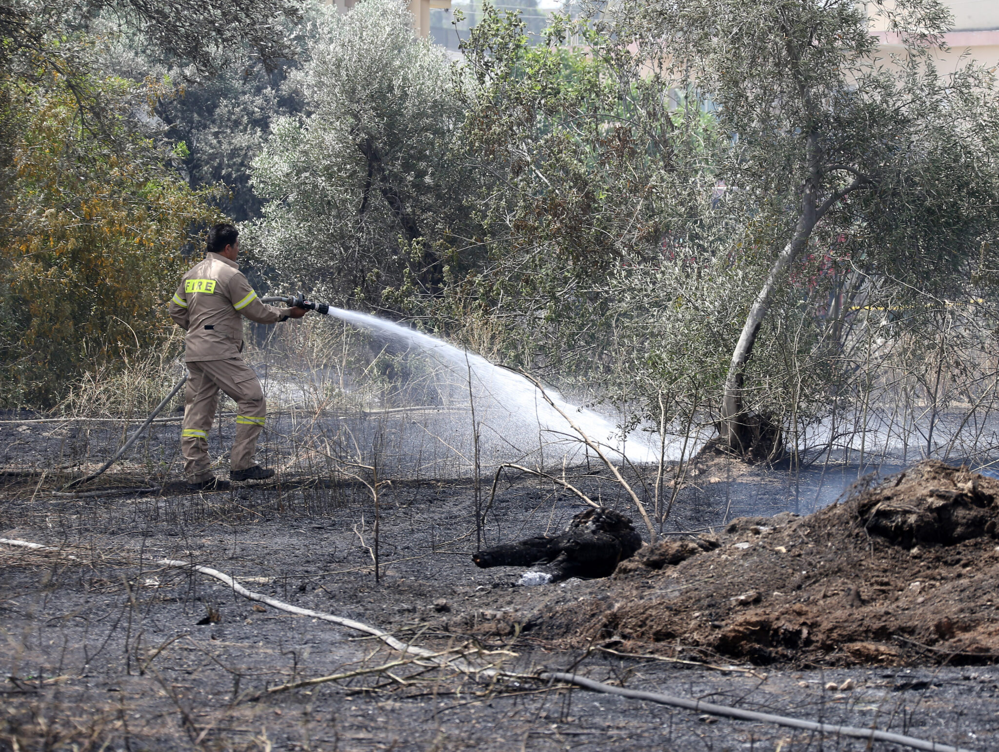 Μάχη με τις φλόγες δίνουν πυροσβέστες στην περιοχή του Παλιομετόχου