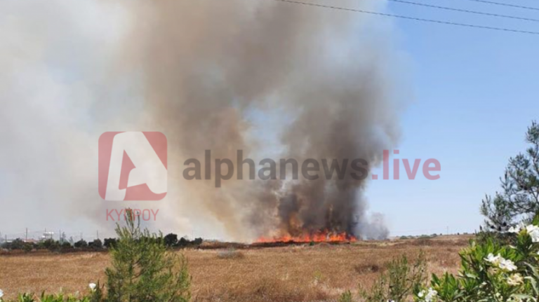 Χειροπέδες σε ένα πρόσωπο για την πυρκαγιά δίπλα στο "Πουρνάρα" (ΒΙΝΤΕΟ)