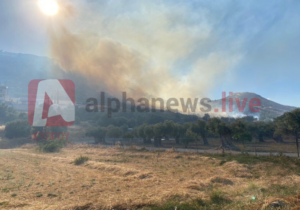 Πυρκαγιά ξέσπασε στην περιοχή της Γερμασόγειας (ΦΩΤΟ)