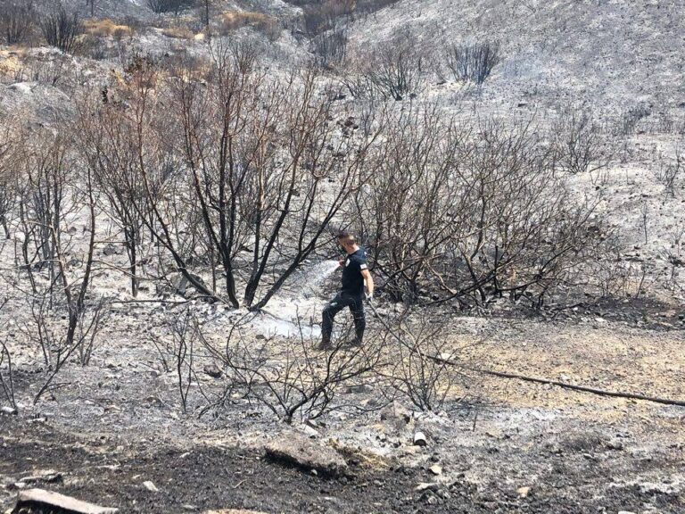 "Εφιάλτης αυτό που ζήσαμε" λένε κατασκηνωτές στις Πλάτρες (ΒΙΝΤΕΟ)