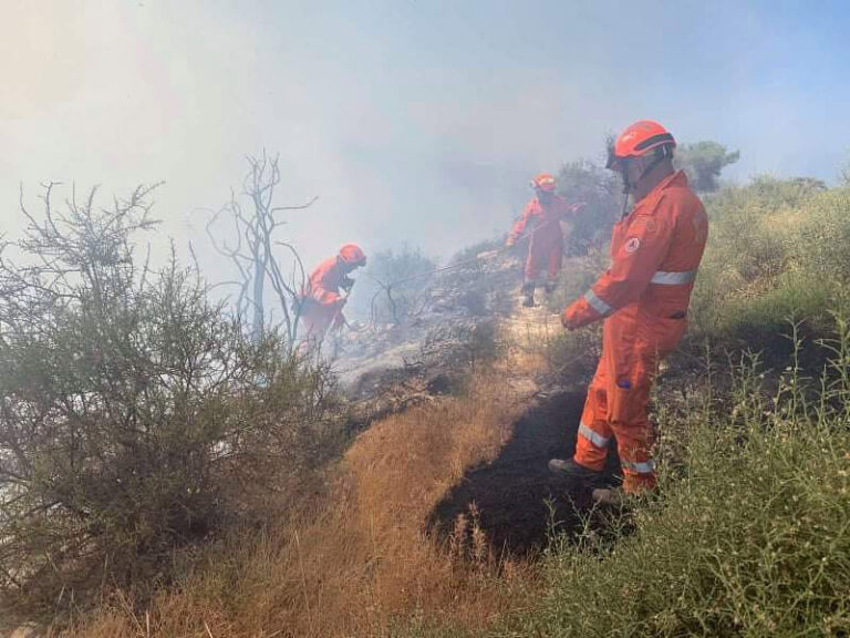 Έκκληση Τμ. Δασών στους πολίτες ενόψει Δεκαπενταύγουστου