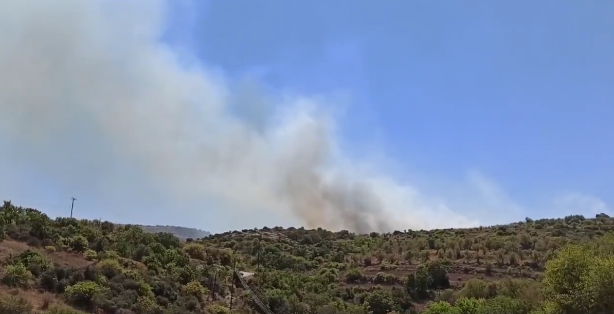 Πυρκαγιά σε δύσβατη περιοχή στην Κρήτου Τέρρα (BINTEO)