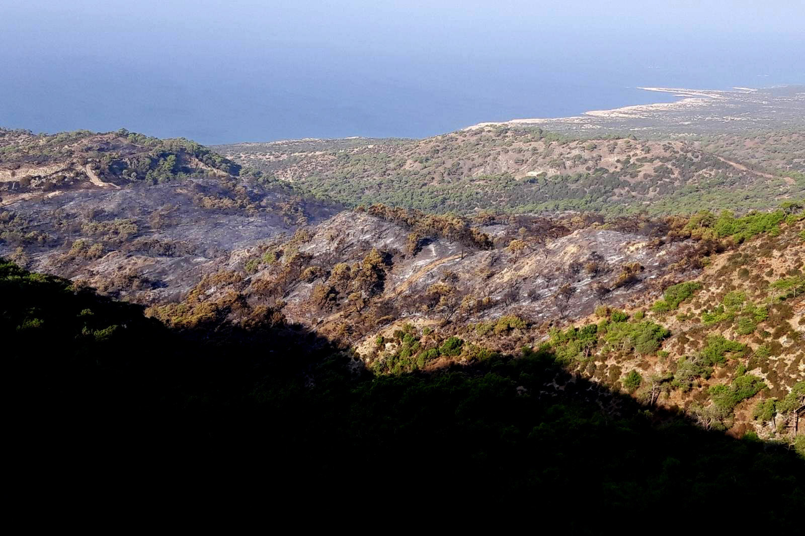 Δίνει μάχη για να κρατηθεί στη ζωή το ζευγάρι που έπεσε σε γκρεμό 40 μέτρων