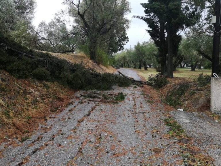 Εντοπίστηκε σορός γυναίκας θαμμένη στη λάσπη στο Μουζάκι