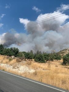 Ανεξέλεγκτη φωτιά στις Βολίμες Ζακύνθου (ΒΙΝΤΕΟ)