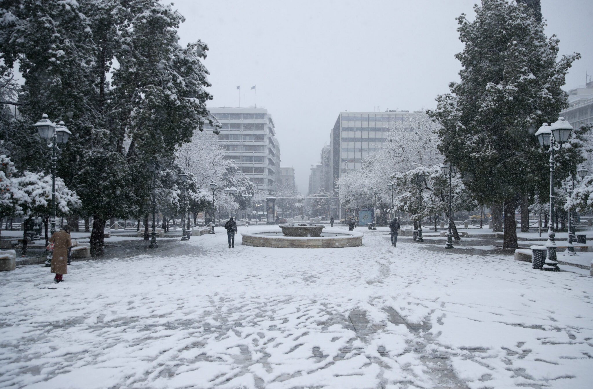 Πανέμορφες εικόνες: Το "έστρωσε" στην πλατεία Συντάγματος (ΦΩΤΟ)