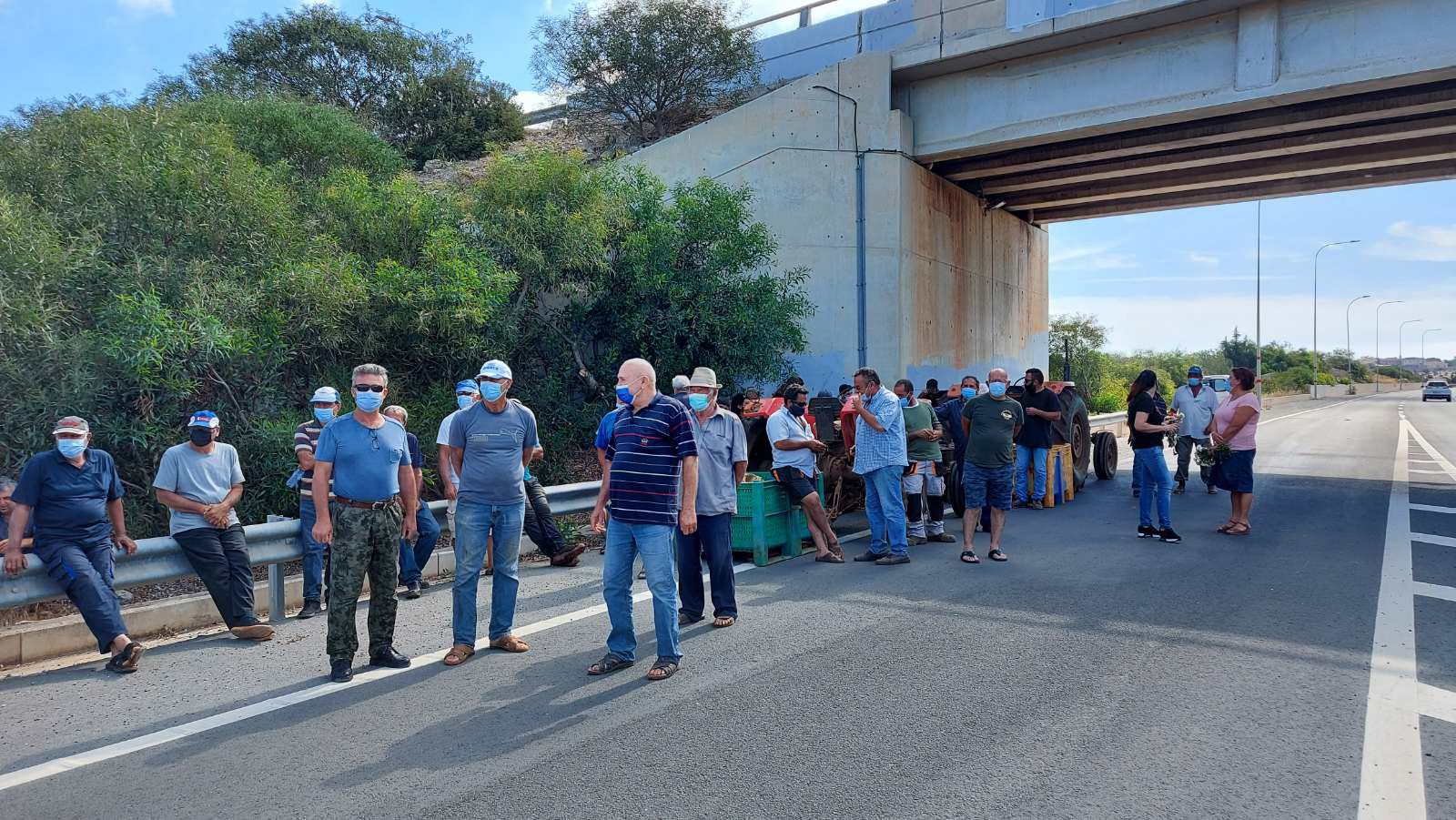 Με σακιά πατάτες και γαρύφαλλα διαμαρτυρήθηκαν οι πατατοπαραγωγοί (VID)