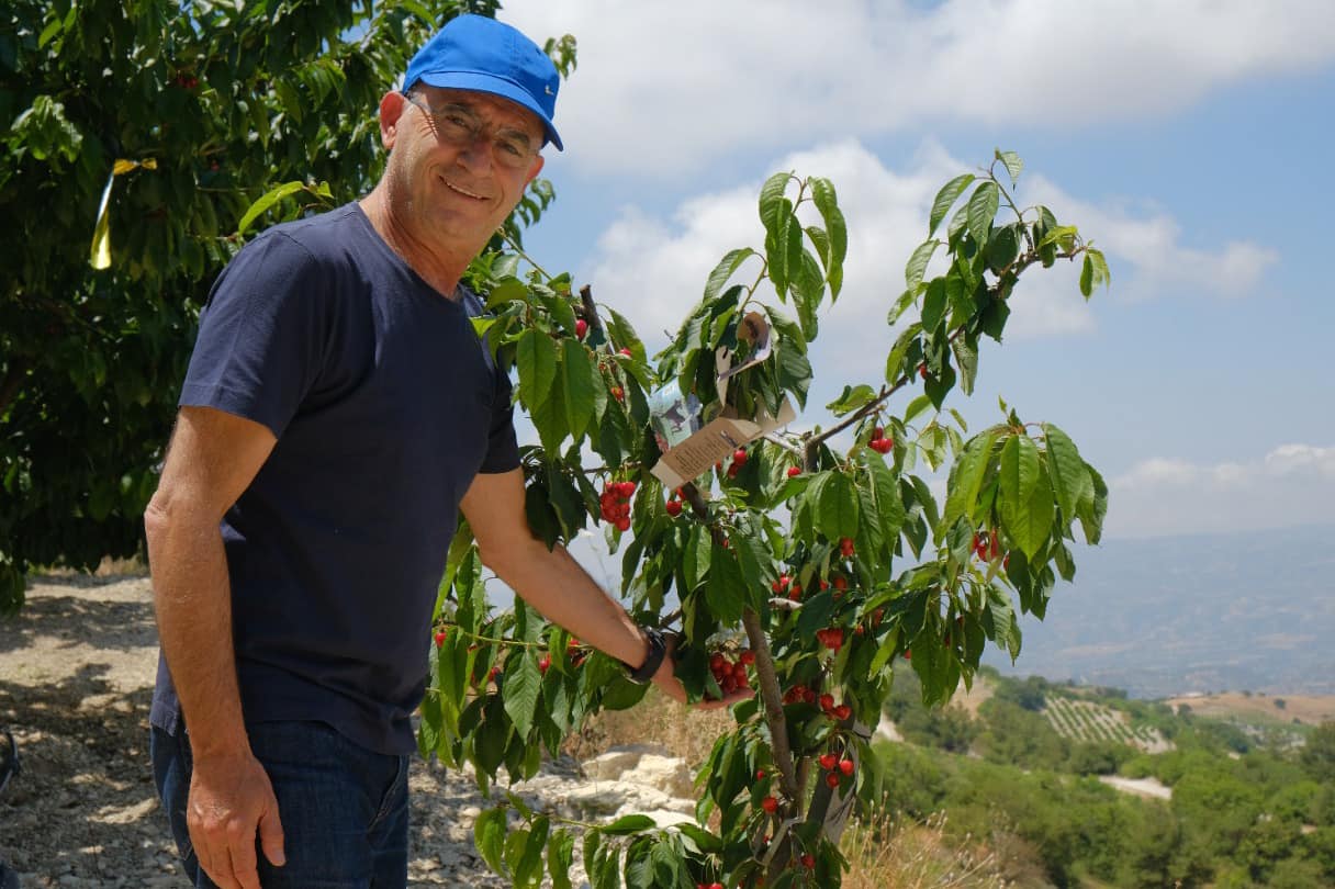 Αβέρωφ: «Πιο εύκολο να μαζεύεις ψήφους παρά κεράζια» (ΒΙΝΤΕΟ&ΦΩΤΟ)