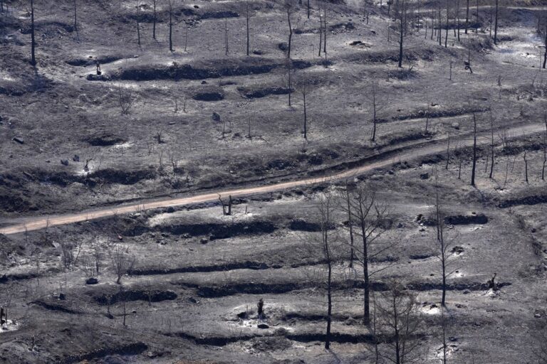 Κλιματική αλλαγή: Θα βιώσουμε θερμοκρασίες Καΐρου στην Κύπρο