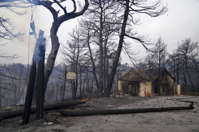 Τρίτη στη Μεσόγειο η Ελλάδα φέτος, όσον αφορά την έκταση της καμένης γης