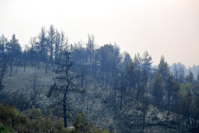 Εικόνες αποκάλυψης αφήνουν πίσω τους οι πύρινες γλώσσες σε Εύβοια και Αττική