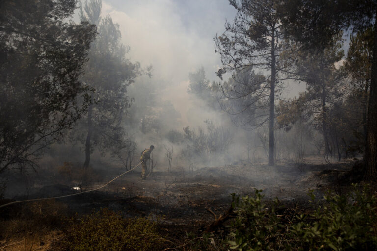 Τεράστια η οικολογική καταστροφή από τις πύρινες γλώσσες στο Ισραήλ (ΒΙΝΤΕΟ)