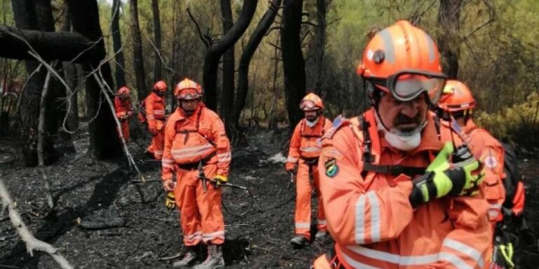 "Θα καταπολεμήσουμε τη φωτιά. Ακόμη και την πιο μικρή εστία" (ΒΙΝΤΕΟ)