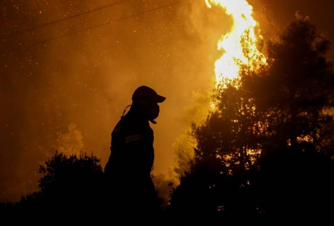 Υπό πλήρη έλεγχο δασική πυρκαγιά στην περιοχή Αγίας Φύλας