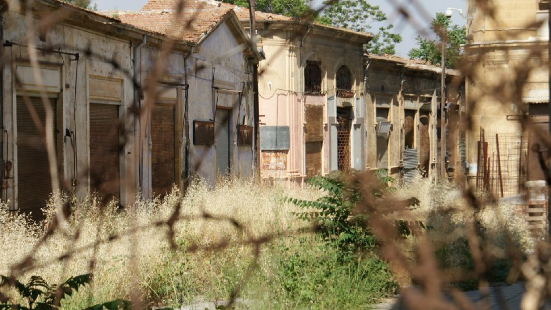 Μια κιβωτός βιοποικιλότητας…στη γη της τραγωδίας: Πόλος έλξης η Πράσινη Γραμμή