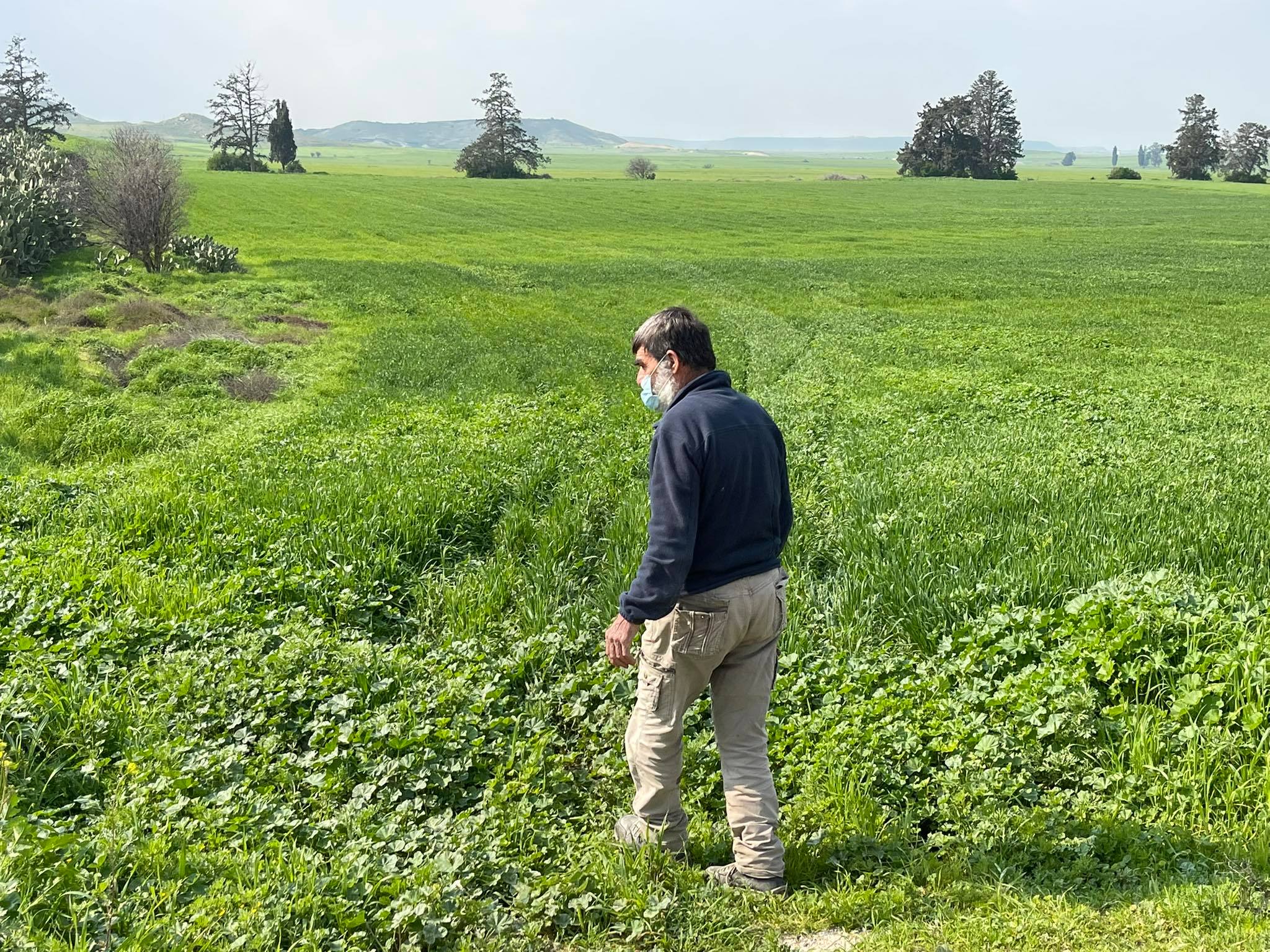 Επί ποδός γεωργοί της Αθηένου: Ψάχνουν σε χωράφια και υποστατικά για την 4χρονη