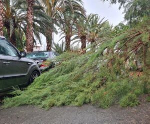 Μικροπροβλήματα από την κακοκαιρία που "χτύπησε" την Κύπρο