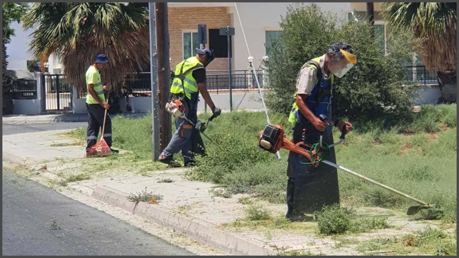 SOS από Οικολόγους: Μην ψεκάζετε με επικίνδυνα και δηλητηριώδη ζιζανιοκτόνα