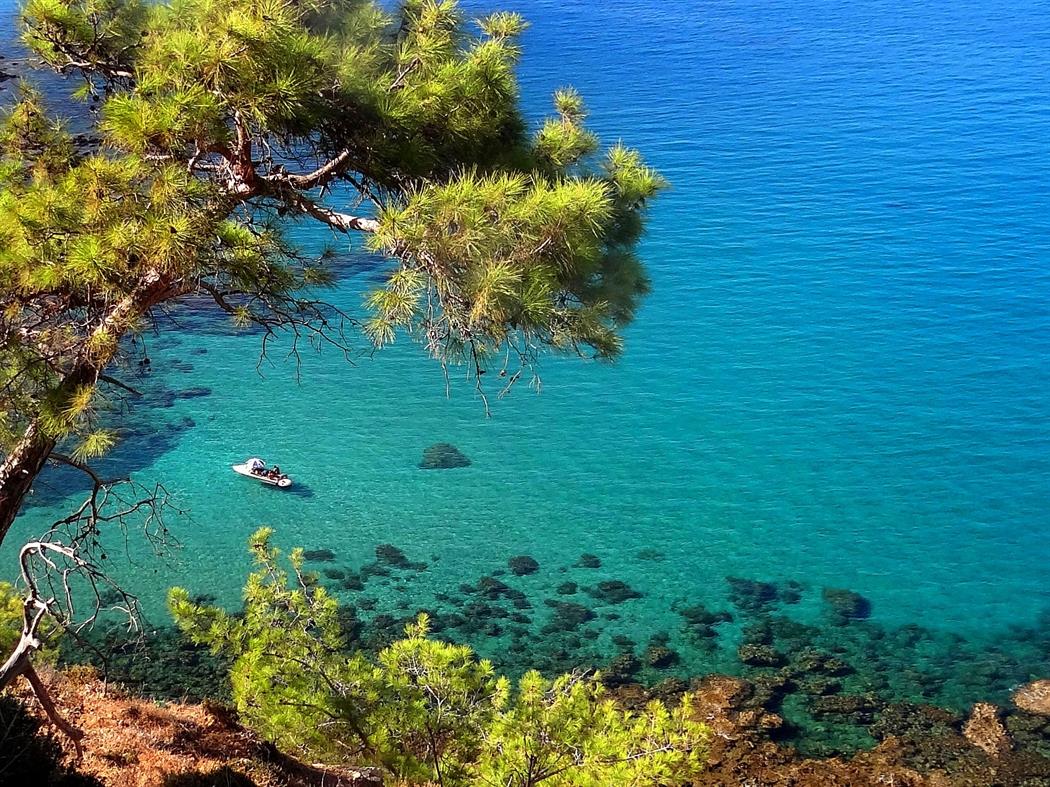 Για αδιαφορία και απουσία ελέγχου κατηγορούν την Κυβέρνηση οι Φίλοι του Ακάμα