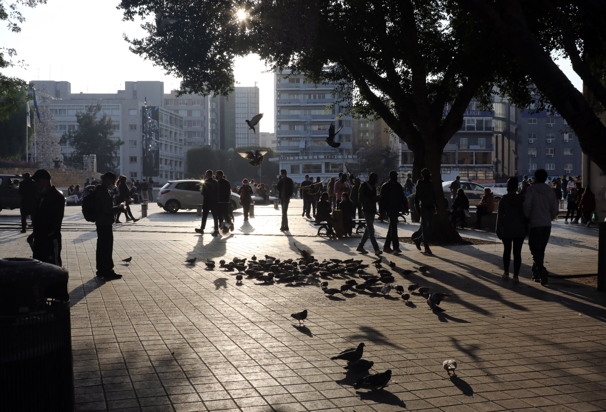 Σε ποια επαρχία της Κύπρου αυξήθηκε ο πληθυσμός κατά 15,4% μέσα σε μια δεκαετία;