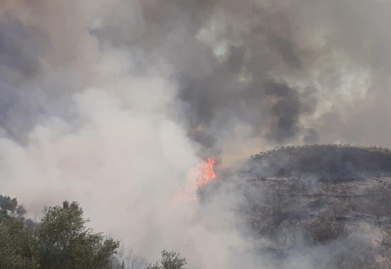 Ελλάδα: Παίρνει επικίνδυνες διαστάσεις η φωτιά στην Ηλεία, πλησιάζει σπίτια