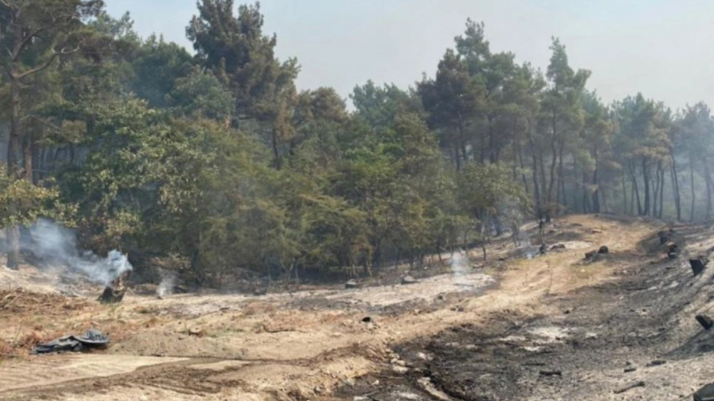 Φωτιά στη Δαδιά: Στην εθνική οδό κατευθύνονται οι φλόγες