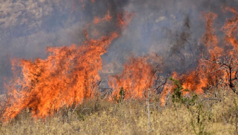 Φωτιά κατέστρεψε σπίτι και οχήματα στην Επαρχία Λευκωσία