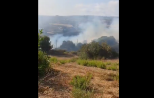 Υπό έλεγχο η πυρκαγιά στο Ψαθί, κατεύκασε δύο εκτάρια ξερά χόρτα